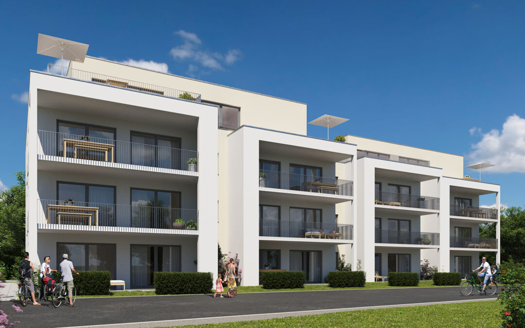 Forchtenberg Waldfeld